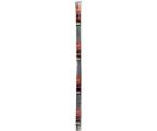 Terra Verde 5' Bamboo Stakes 6 Pack