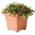 Novelty 18" Square Terracotta Countryside Planter Tub