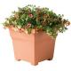 Novelty 18" Square Terracotta Countryside Planter Tub