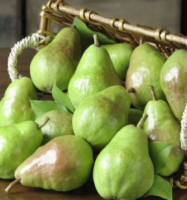 Pear S-dwf Tree Bartlett  5 Gallon