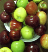 Apple Tree Combo 5 Gallon