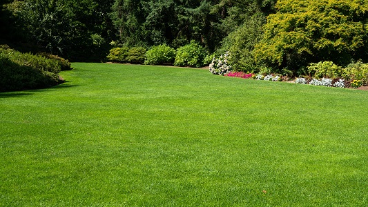 LAWN SOLUTIONS