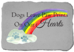 Dogs Leave Pawprints Rainbow