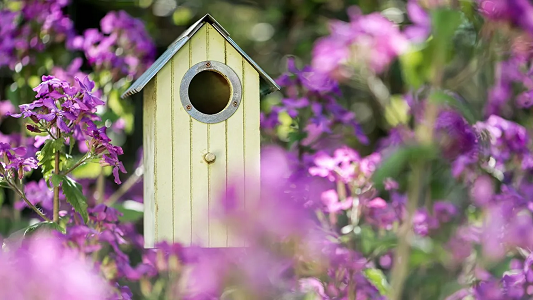 Bird Houses