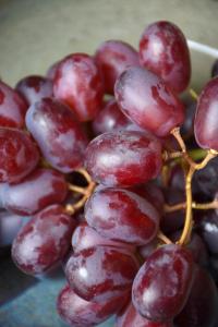 Grape Reliance Seedless 8" Pot