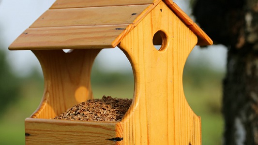 Mixed Seed Feeders