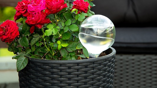 Planters & Windowboxes