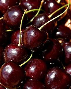 Cherry S-dwf Tree Lapins (sweet) 5 Gallon