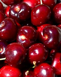Cherry S-dwf Tree Lambert (sweet) 5 Gallon