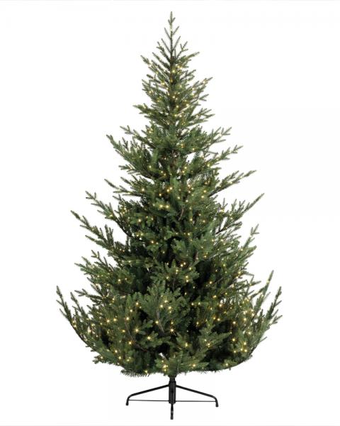 7' Norway Spruce With 900 Warm White Micro LED Lights