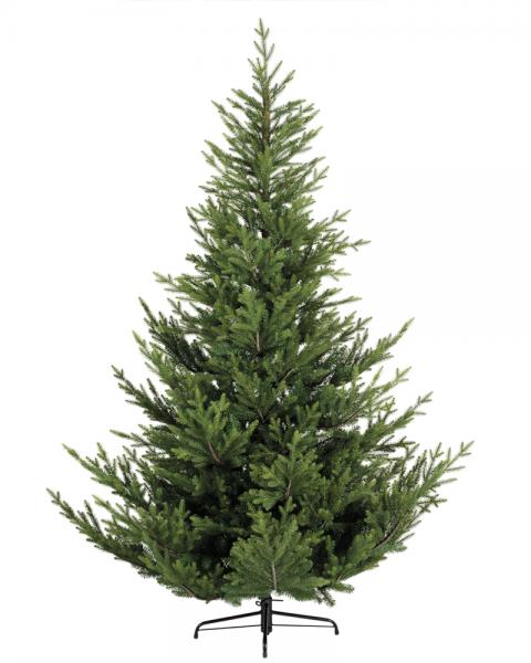 9' Norway Spruce With 1200 Warm White Micro LED Lights