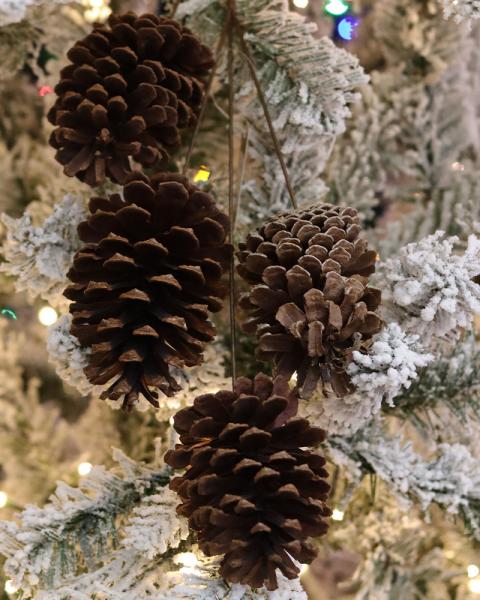 Pinecone Large Spray 19" Natural