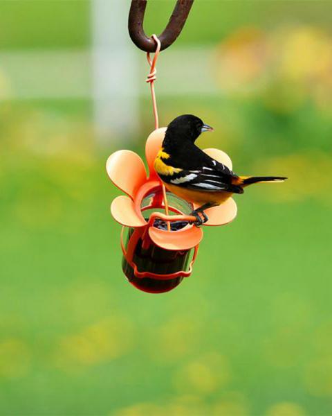 Oriole Feeder Jelly/jam #212