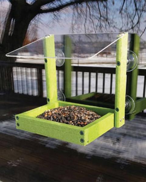 Mixed Seed Window Feeder Green