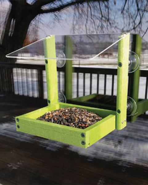 MIXED SEED WINDOW FEEDER GREEN