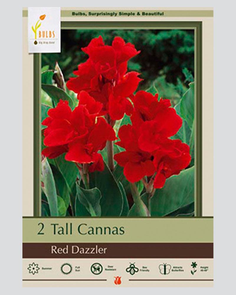 Canna Pkg of 2 Red Dazzler