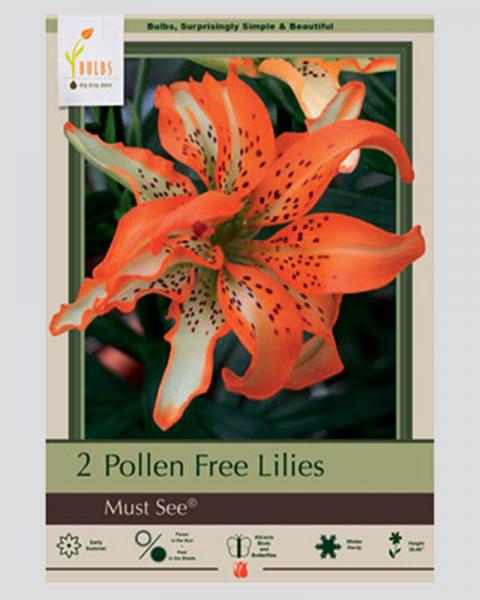 Lily Asiatic Pkg Of 2 Double Must See