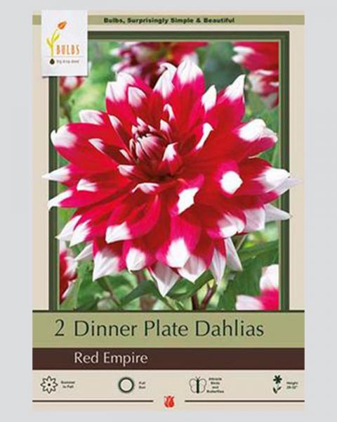 Dahlia Pkg Of 2 Dinnerplate Red Empire