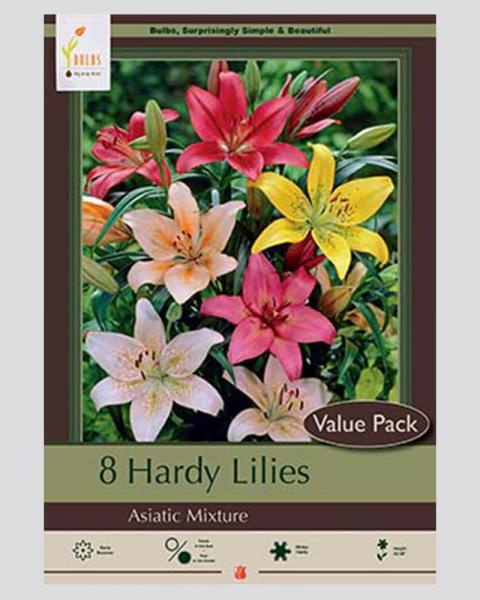 Lily Asiatic Pkg Of 8 Hardy Mixture