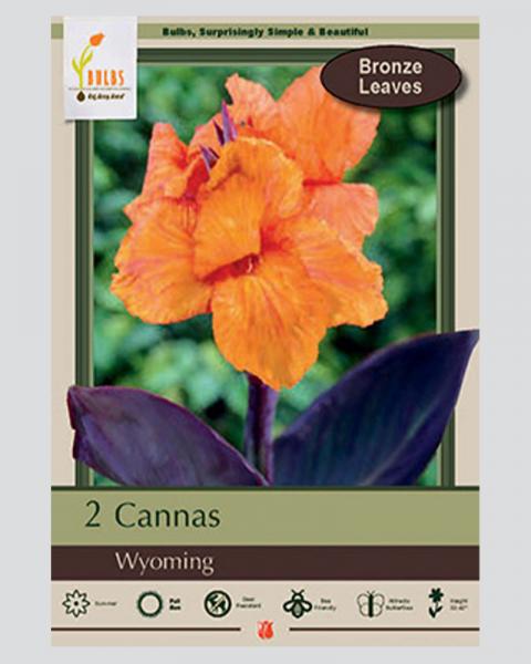 Canna Lily Pkg Of 2 Wyoming
