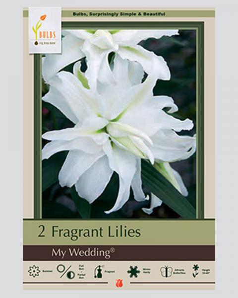 Lily Pkg of 2 Oriental My Wedding Double