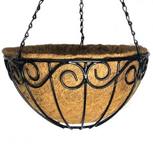 12" Norfolk Hanging Basket