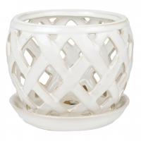 Orchid Pot 7.5" Bone White