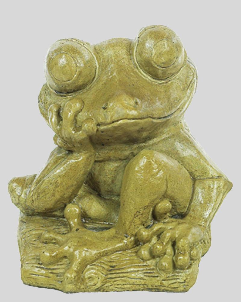 Pop-eyed Frog