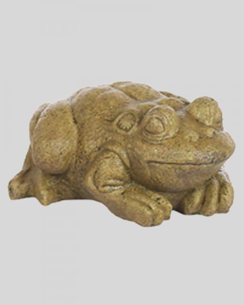 Medium Bullfrog