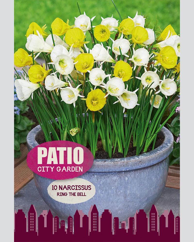 Narcissus Ring Bell Blend 10 bulbs/pkg
