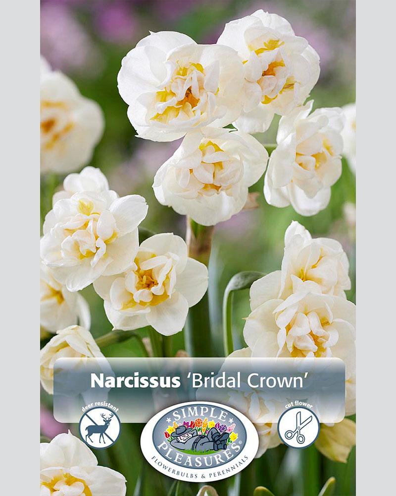 Daffodil Bridal Crown Double 5 bulbs/pkg
