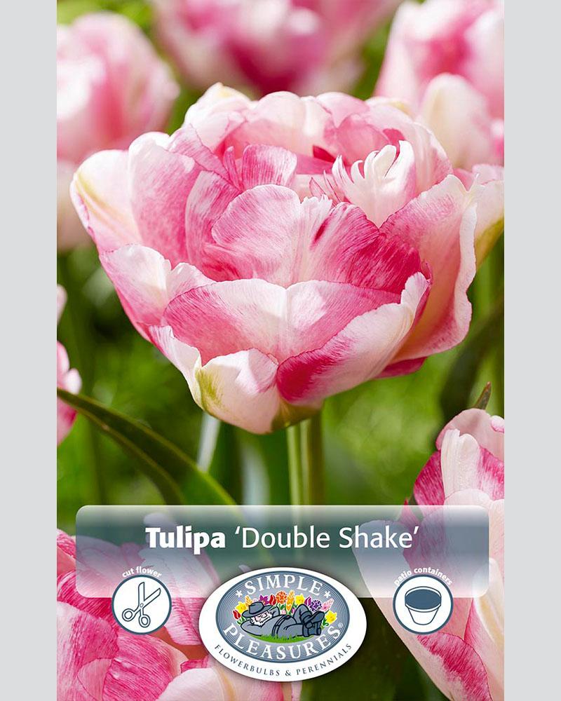 Tulip DL Double Shake 6 bulbs/pkg