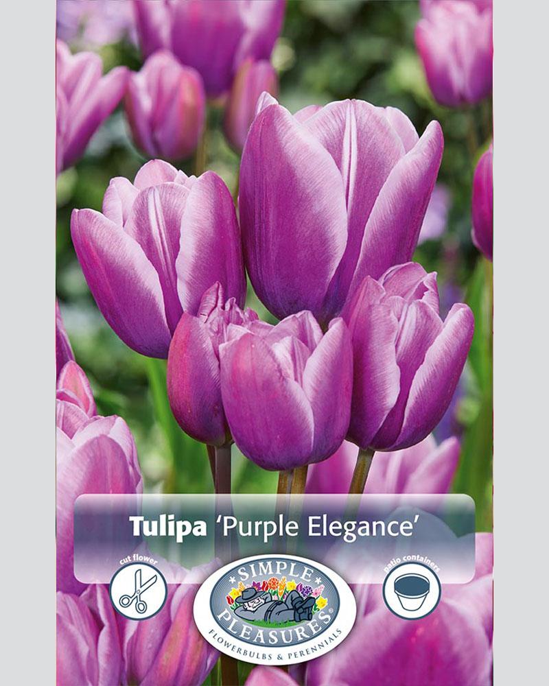 Tulip Multi Purp Elegance 8 bulbs/pkg