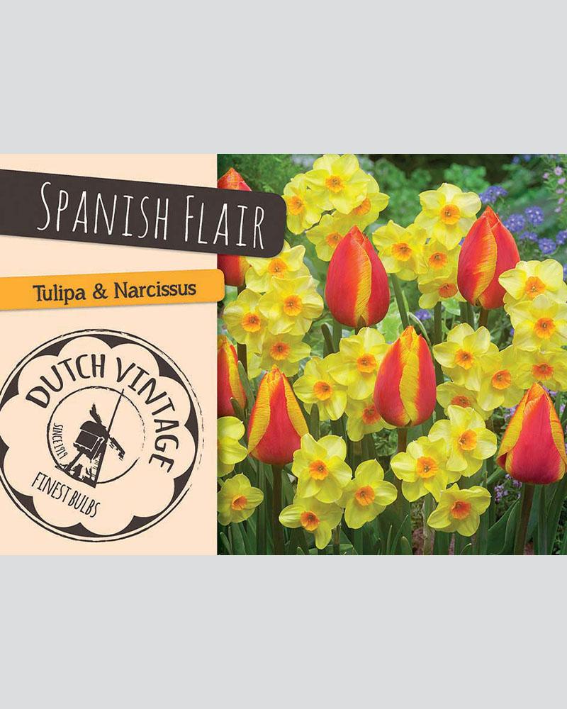 Dutch Vintage Spanish Flair 15 Pack