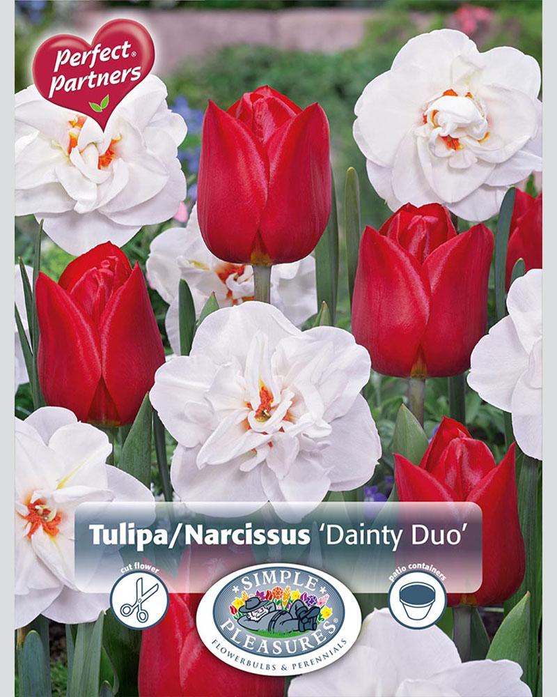 Dainty Duo Perfect Partners 16 bulbs/pkg