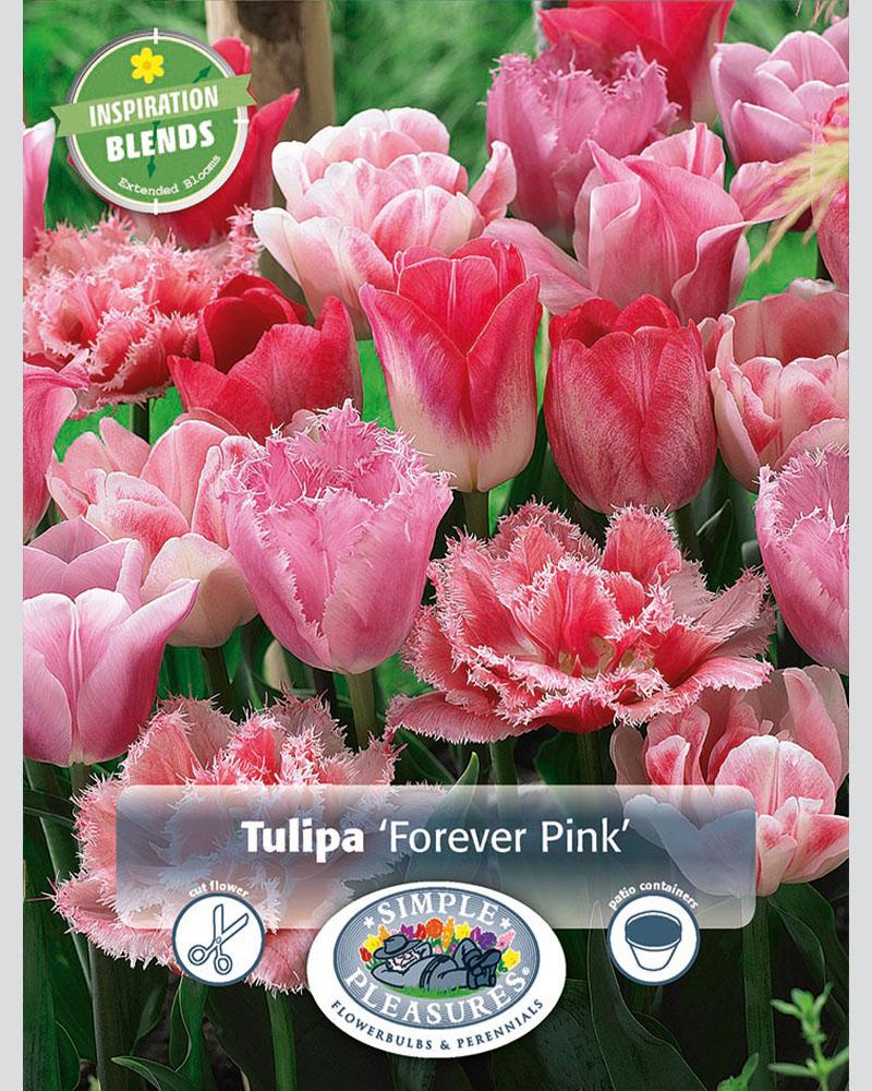 Tulip Forever Pink Blend 18 bulbs/pkg