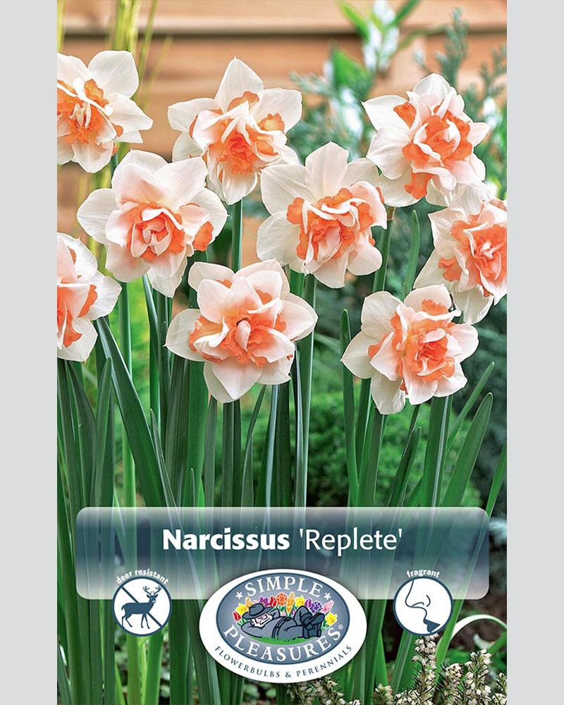 Daffodil Replete Double 5 bulbs/pkg