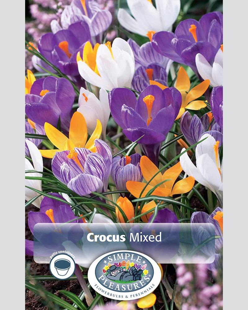 Crocus Giant Mixed 15 bulbs/pkg