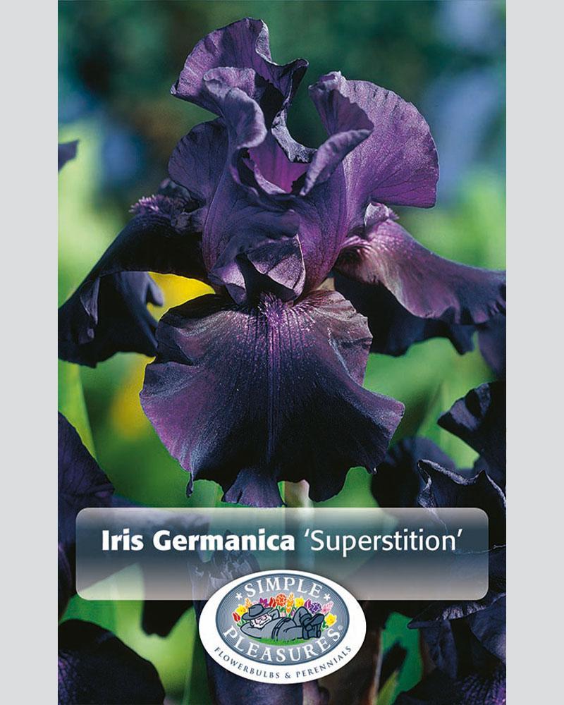 Iris Superstition