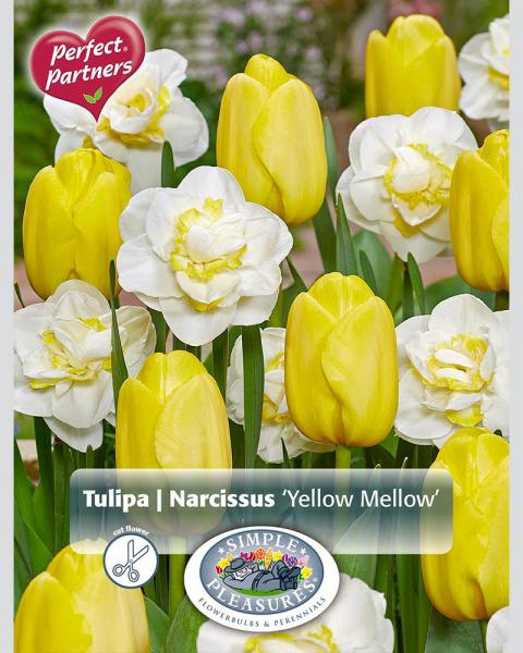 Tul/nar Yellowmellow Blend 12/pk