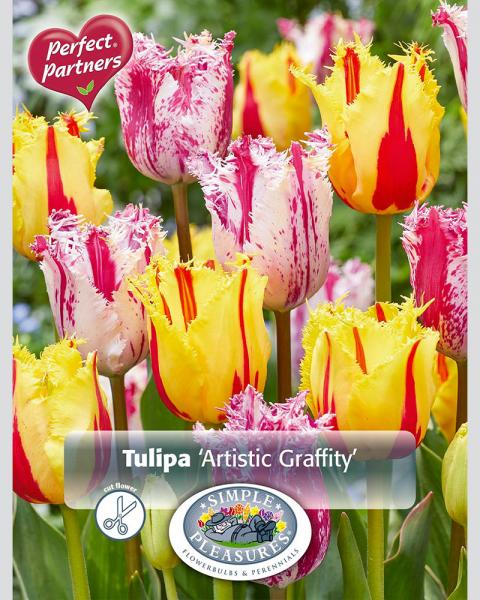 Tulip  Artistic Graff Blend 16Pk16 bulbs/pkg