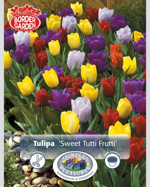 Sweet Tutti Frutti Border 20 bulbs/pkg
