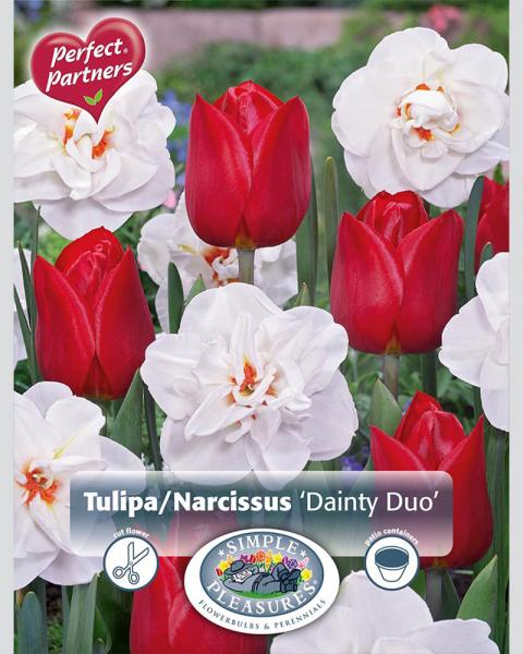 Dainty Duo Perfect Partners 16 bulbs/pkg