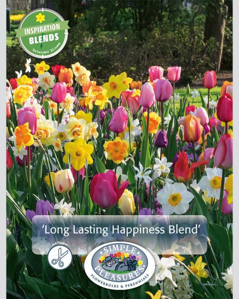Narcissus/Tulip Happiness 18 bulbs/pkg