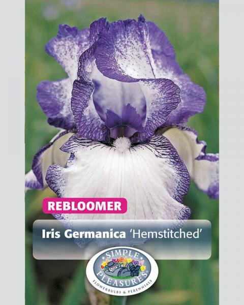 Iris German Hemstitched