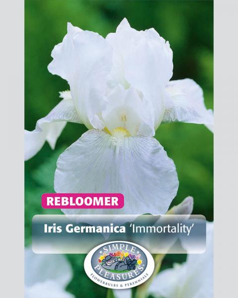 Iris German Immortality