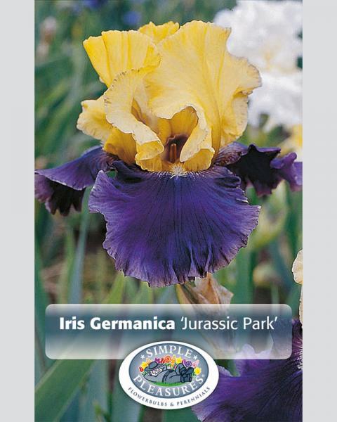Iris German Jurassic Park