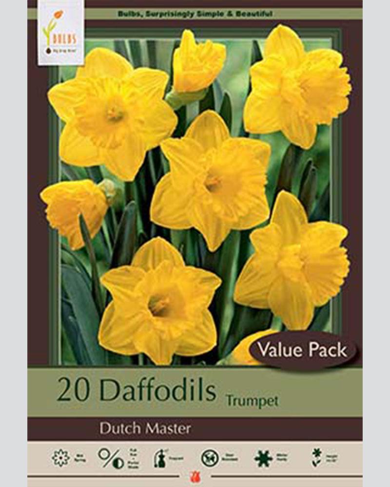 VP Daffodil Dutch Master 20 bulbs/pkg