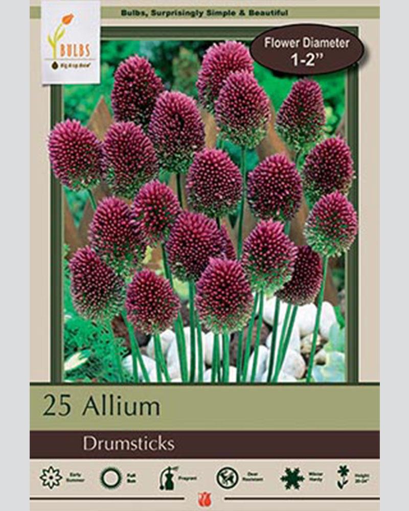 Allium Sphaerocephalon 25 bulbs/pkg