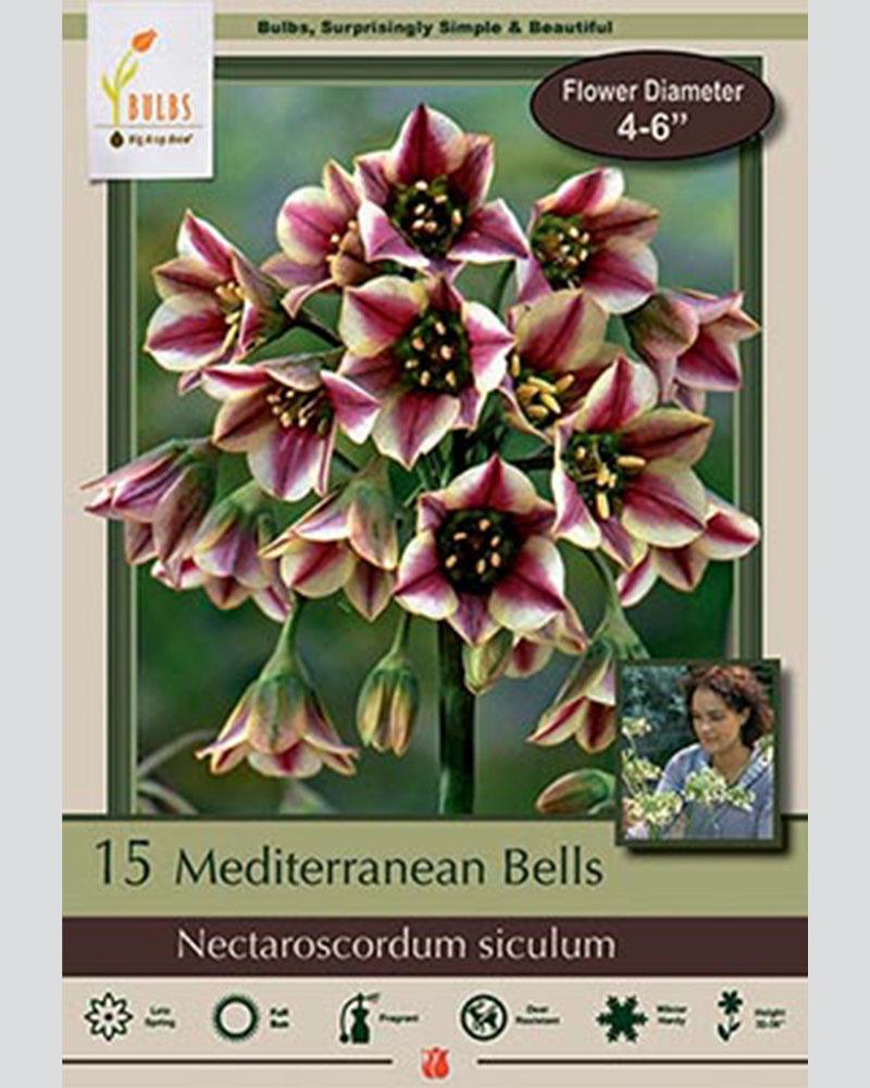 Nectaroscordum Siculum Mediterranean Bells 15 Pack